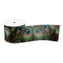 Search for peacock feather ribbon Peafowl