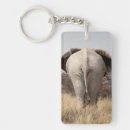 Search for rear key rings Animal