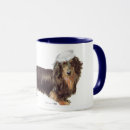 Search for long haired dachshund mugs Animals