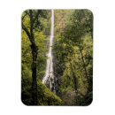 Search for formation home living Forest
