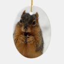 Search for funny squirrel christmas tree decorations Squirrels