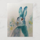 Search for hare birthday cards Wildlife
