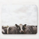 Search for dairy cow mousepads Cattle