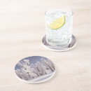Search for colorado coasters Landscape