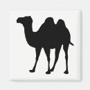 Search for camel magnets Mammal