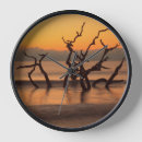 Search for driftwood clocks Ocean