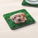 Search for adorable coasters Dog
