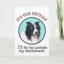 Search for border collie humor cards Humour
