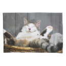 Search for funny animals pillowcases Feline