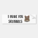 Search for i brake for squirrels bumper stickers Funny