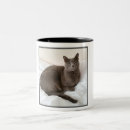 Search for russian cat mugs Cats