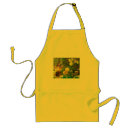 Search for yellow daffodil aprons Photography