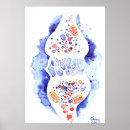 Search for synapse posters Nerve