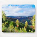 Search for afternoon mousepads Calm