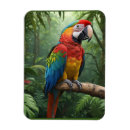 Search for macaws magnets Wildlife