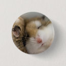 Search for bob badges Funny