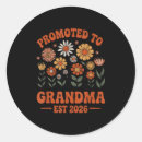 Search for promoted to grandma stickers Holiday online