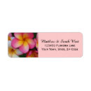 Search for frangipani flowers return address labels Pink