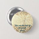 Search for lighting badges Photography