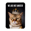 Search for funny cat magnets Sarcasm