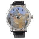 Search for squirrel watches Curious