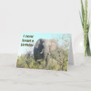 Search for elephants never forget postcards Belated