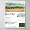 Search for olive photography Photographer