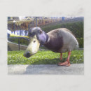 Search for encounters postcards Cute