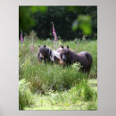 Search for standing together posters Horses