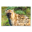 Search for spots photography Wildlife