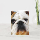 Search for bulldog cards Pet lovers