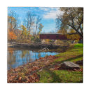 Search for indiana tiles Landscape