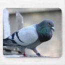 Search for pigeon mousepads Bird