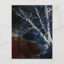 Search for sided postcards White