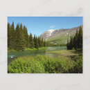 Search for creeks postcards Trees