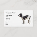 Search for spaniel business cards Pets