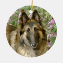 Search for belgian christmas tree decorations Tervuren