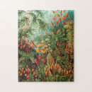 Search for nature puzzles Kunstformen der natur