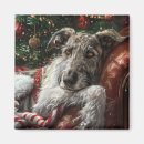 Search for wolf hound magnets Animal