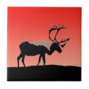 Search for sunset tiles Red