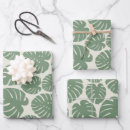 Search for monstera wrapping paper Nature