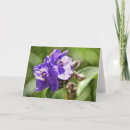 Search for bible studies cards Faith
