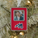Search for brook christmas tree decorations Wolfie the seawolf