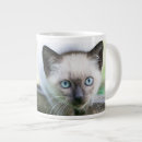 Search for siamese cat mugs Cute