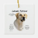 Search for dog lovers christmas tree decorations Labrador retriever
