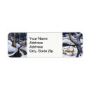 Search for stream return address labels Winter