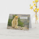 Search for humorous anniversary cards Cat