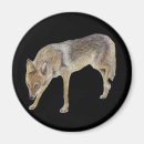 Search for sly magnets Animal