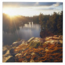 Search for jaynes gallery tiles Scenic