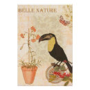Search for large decoupage paper Nature